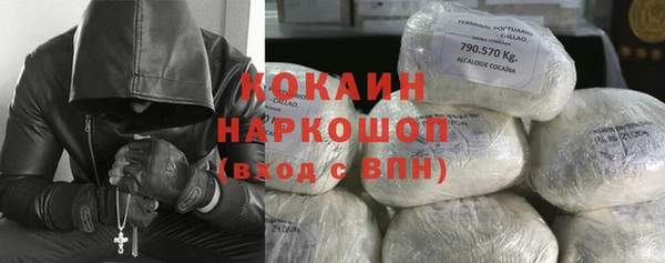 кокс Алексин
