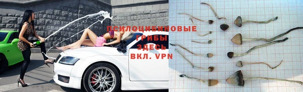 кокс Алексин
