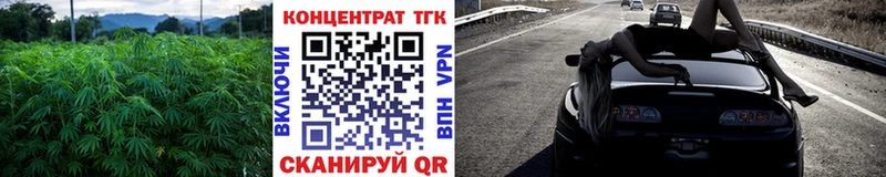 Дистиллят ТГК Wax закладки Тара