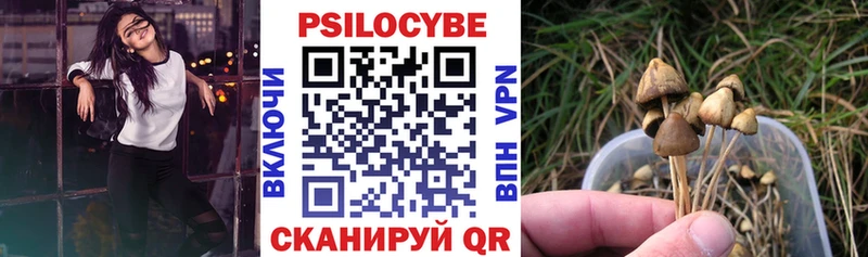 мориарти Telegram MEGA сайт Тара Галлюциногенные грибы прущие грибы