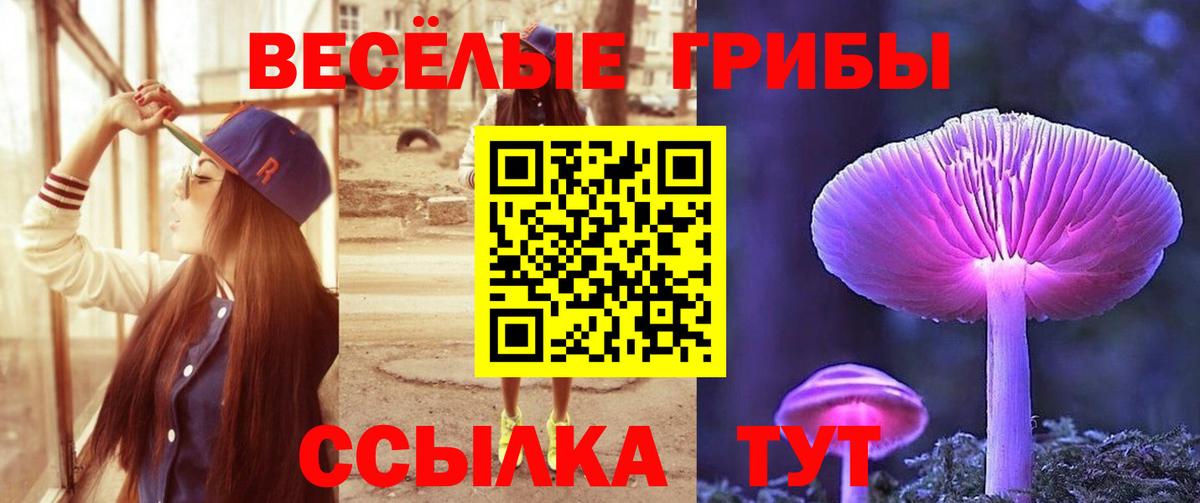 Тара  Галлюциногенные грибы GOLDEN TEACHER  Вход с VPN  Галлюциногенные грибы Magic Shrooms 