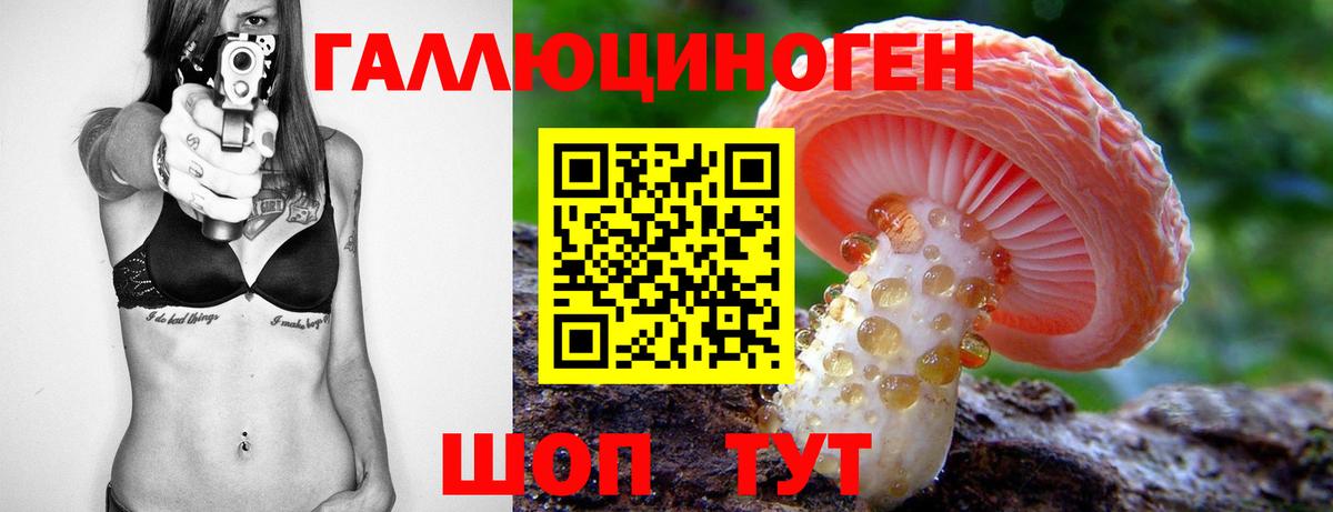 Псилоцибиновые грибы Magic Shrooms Тара