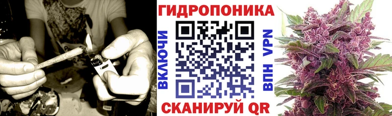 Каннабис White Widow Тара